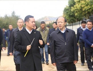 云南省委常委、副書記李秀領(lǐng)一行到苗鄉(xiāng)三七科技示范園考察調(diào)研