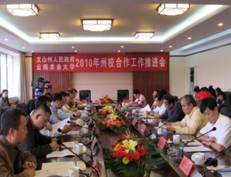 苗鄉(xiāng)三七與云南農(nóng)大簽署校企合作協(xié)議，構(gòu)建了戰(zhàn)略聯(lián)盟關(guān)系