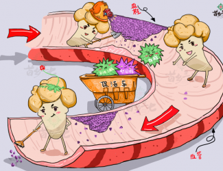 血瘀體質(zhì)的表現(xiàn)與癥狀，如何用三七活血化瘀