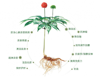 三七救人無(wú)國(guó)界，美軍飛行員曾受益