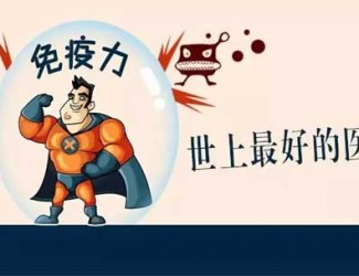 三七對免疫力的提升表現(xiàn)，長期服用提高免疫功能