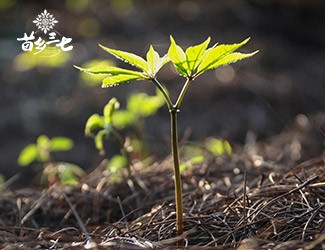 淺談二十四節(jié)氣與疾病的關系，節(jié)氣變化如何養(yǎng)生