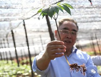 張伯禮院士這樣說三七！