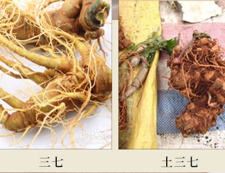 三七對(duì)肝臟有副作用嗎?長期服用“土三七”竟然徹底毀了肝!